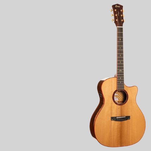 Обзор Cort Gold-A10 Cocobolo: шаг в высшую лигу акустических гитар по разумной цене